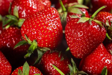 Kırmızı olgun çilek arka planı. Kapat, üst görünüm.