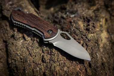 Ormandaki ağaçta askeri taktik bıçağı.