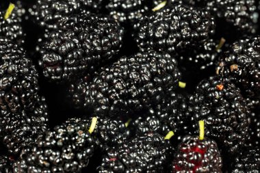 Bir kasede dut. Yazın böğürtlen hasadı. Meyveli siyah gıda arka planı.