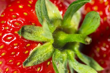 Taze olgun çileklere yaklaş. makro.