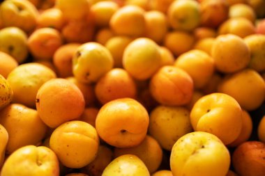 Pazarda taze kayısılar satılıyor..