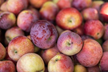 Arkaplan olarak olgun kırmızı elma yığını.