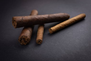 Purolar. Gerçek tütün yapraklarından kahverengi purolar. Küba Havana 'dan puro.