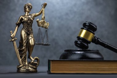 Yargıç Tokmak ve hukuk kitapları kopya alanlı hukuk ve adalet geçmişi kavramları.