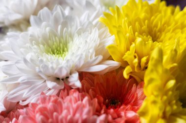 Ahşap masadaki vazoda güzel bir buket karışık çiçek. Çiçekçi dükkanındaki çiçekçinin işi. Ayçiçeği, kasımpatı ve güllerin parlak bir karışımı. tam ekran üzerinde arkaplan