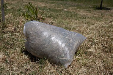 Sahada Kuru Çimenle Dolu Plastik Poşet
