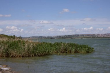 Bulutlu Gökyüzü Altında Lakeside Sazlıkları Şehir Manzarası Ufkusu