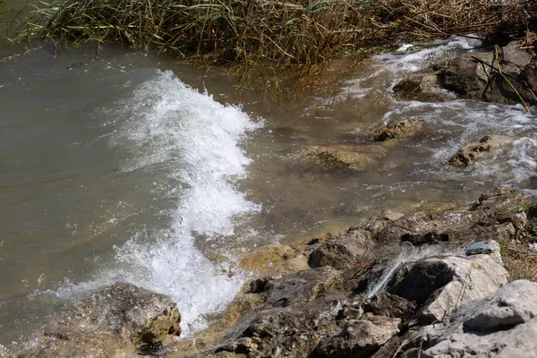 Dalgalar berrak su ve sazlıklarla Rocky Shore 'a çarpıyor