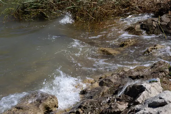 Dalgalar berrak su ve sazlıklarla Rocky Shore 'a çarpıyor
