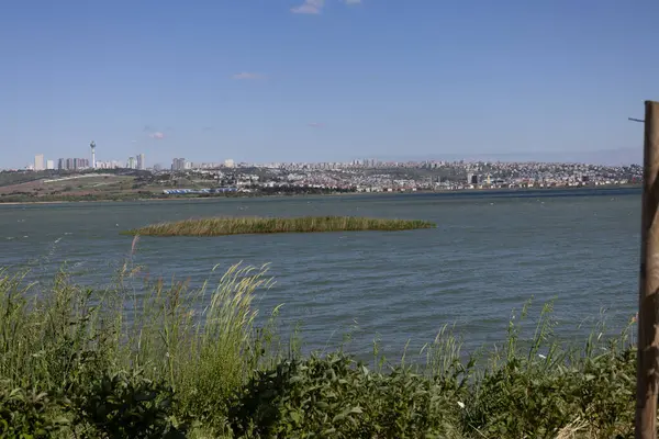 Önplanda Göl ve Sazlıklarla Kentsel Skyline