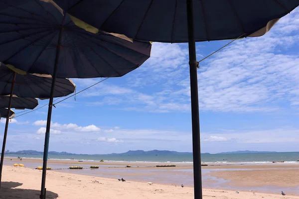 Beach View Beach Umbrellas Overlooking Sea Front Sunlight — стоковое фото