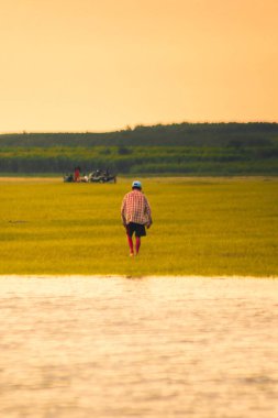 Bir çiftçi tarlada yürüyor. Yaşlı bir adam bataklıkta yürüyor..