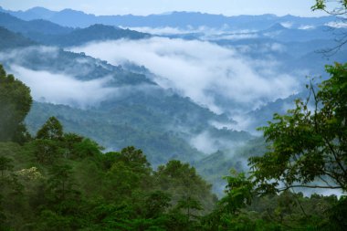 Sisli bulutlar dağların üzerinde süzülür