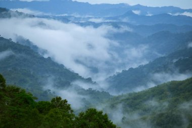 Sisli bulutlar dağların üzerinde süzülür