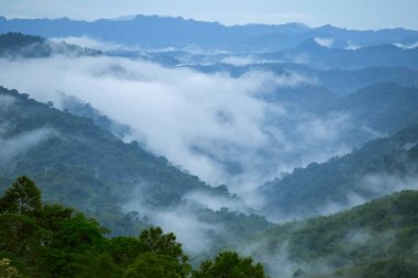 Sisli bulutlar dağların üzerinde süzülür
