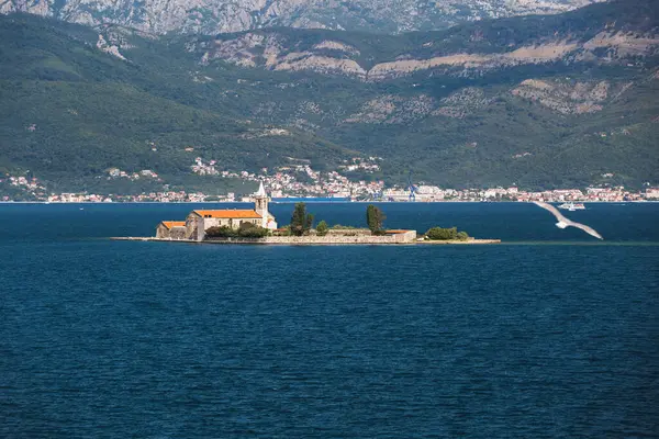 Tivat Körfezi Ndeki Ada Mercy Gospa Milosti Tivat Adriyatik Denizi - Stok İmaj