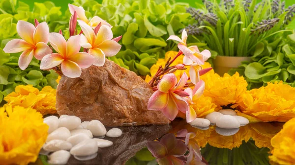 Meditatív Pihentető Légkör Virágokkal Nedvességgel Jogdíjmentes Stock Fotók