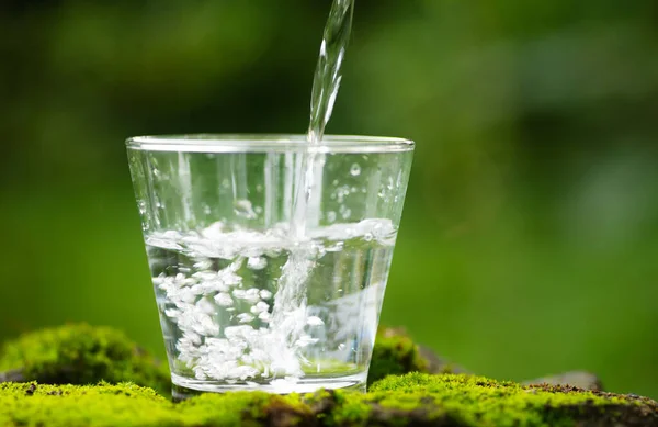 Minum Air Bersih Untuk Minum Tengah Tengah Alam Segar Stok Gambar