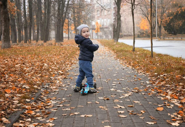 Счастливый Двухлетний Ребенок Катается Скутере Осенью Игры Свежем Воздухе Холодное — стоковое фото