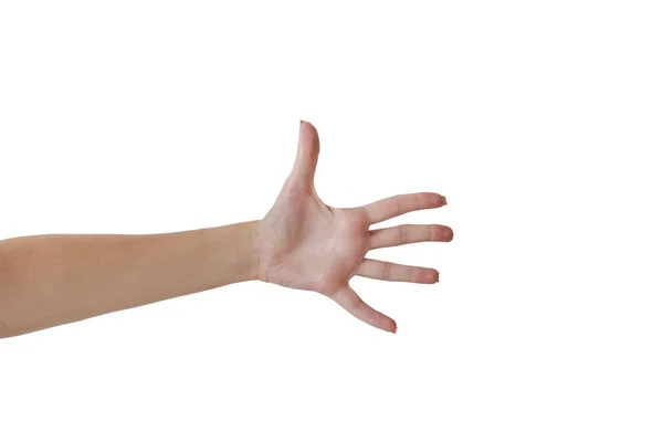 Isolamento Uma Mão Com Gesto Agarrando Algo — Fotografia de Stock
