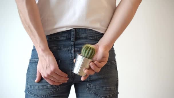 Man Holds Cactus Buttocks Hemorrhoids Emptying Problems Pain Anus Problems — Stock video