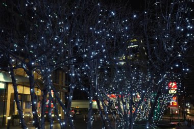 Warszaw, Poland - december, 2022: illumination on trees. Decoration for New Year holidays