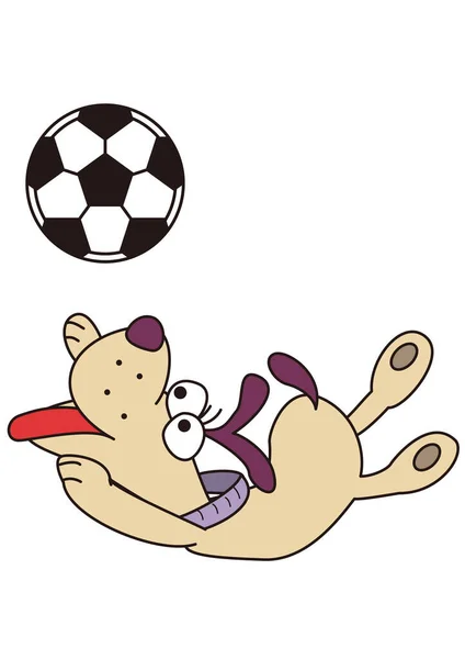 Pies Gra Piłką Nożną — Wektor stockowy