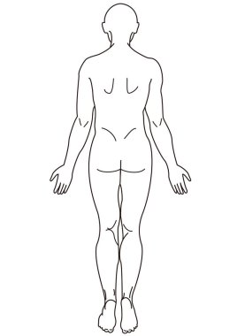 Tüm insan vücudunun çizimi arkadan görüldü.