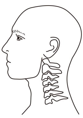 İnsan boynunun yan tarafındaki boyun omurunun yapısal diyagramı.
