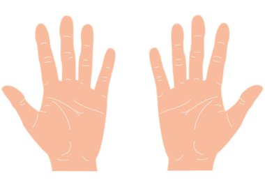 İnsan açık sol ve sağ avuç içleri