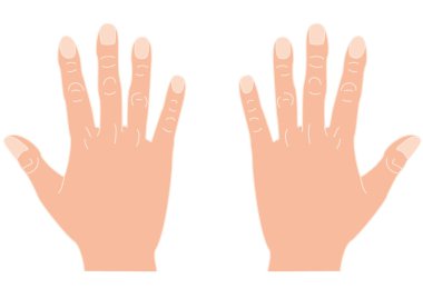 İnsanın sırtı açık sol ve sağ elleri