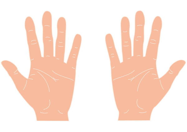 Human open left and right palms