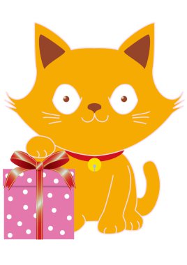 Kedi yavrusu hediye kutusunu aldığı için mutlu.