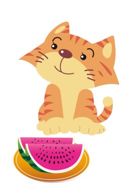 Şirin bir kedi yavrusu tepside karpuzun önünde mutludur.