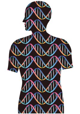 Üst gövde siluetinde çift sarmal yapı deseni