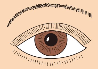 İnsan gözünün önü. Yakından.