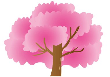 Tam Bloom kiraz çiçeği ağaç