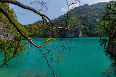 güzel göl, tropik cennet, Angthong ulusal deniz parkı, koh Samui, Suratthani, Tayland.