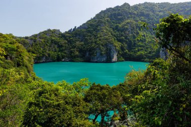 güzel göl, tropik cennet, Angthong ulusal deniz parkı, koh Samui, Suratthani, Tayland.