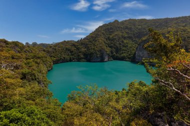 güzel göl, tropik cennet, Angthong ulusal deniz parkı, koh Samui, Suratthani, Tayland.