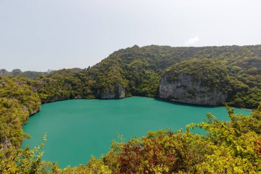 güzel göl, tropik cennet, Angthong ulusal deniz parkı, koh Samui, Suratthani, Tayland.