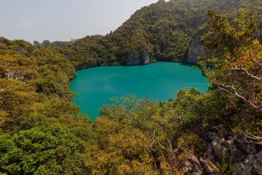 güzel göl, tropik cennet, Angthong ulusal deniz parkı, koh Samui, Suratthani, Tayland.