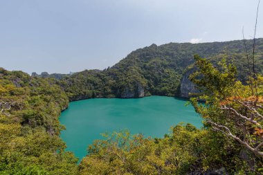 güzel göl, tropik cennet, Angthong ulusal deniz parkı, koh Samui, Suratthani, Tayland.