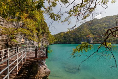 güzel göl, tropik cennet, Angthong ulusal deniz parkı, koh Samui, Suratthani, Tayland.