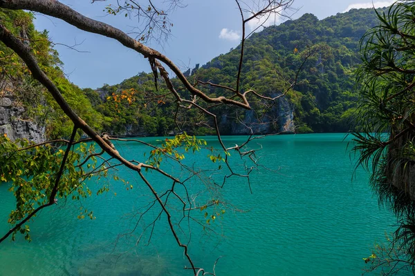 Bela Lagoa Paraíso Tropical Angthong Parque Marinho Nacional Koh Samui — Fotografia de Stock