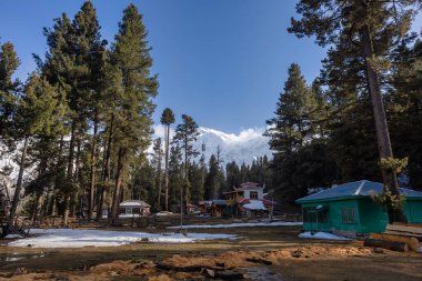 Dünyadaki cennet, Nanga Parbat Dağı (8,126 metre) Fairy Meadows, Gilgit-Baltistan, Pakistan,