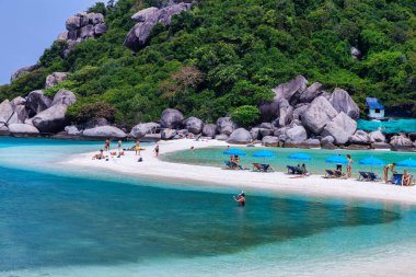 Tropik cennet adası, Nang Yuan adası veya Koh Nang Yuan Adası, Koh Tao adası, Surat Thani, Tayland.