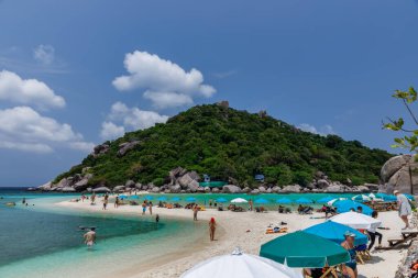 Tropik cennet adası, Nang Yuan adası veya Koh Nang Yuan Adası, Koh Tao adası, Surat Thani, Tayland.