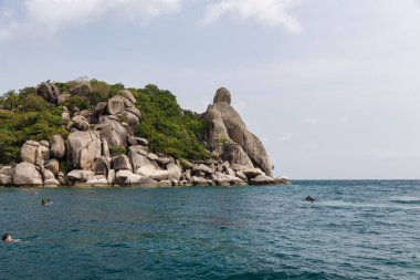 Tropik cennet adası, Nang Yuan adası veya Koh Nang Yuan Adası, Koh Tao adası, Surat Thani, Tayland.