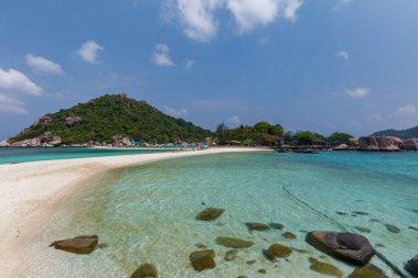 Tropik cennet adası, Nang Yuan adası veya Koh Nang Yuan Adası, Koh Tao adası, Surat Thani, Tayland.